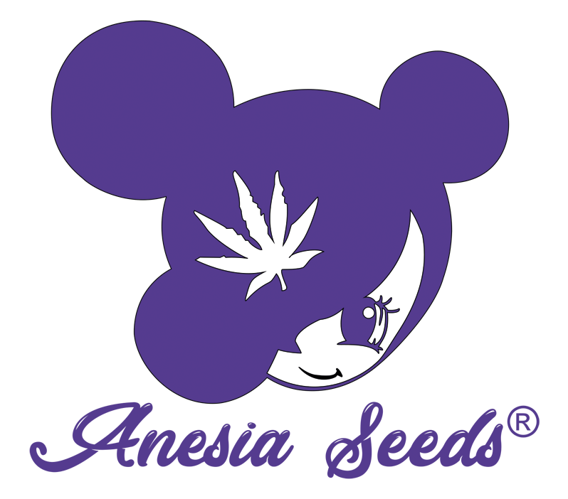 Anesia Seeds